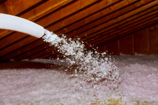 Best Eco-Friendly Insulation in Bunkie, LA