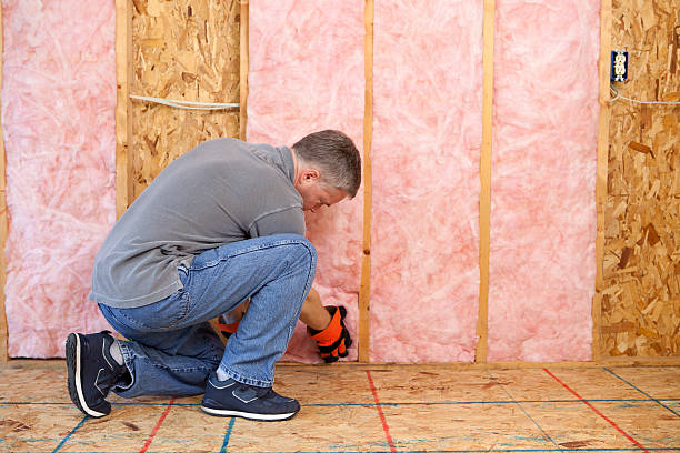 Best Commercial Insulation in Bunkie, LA