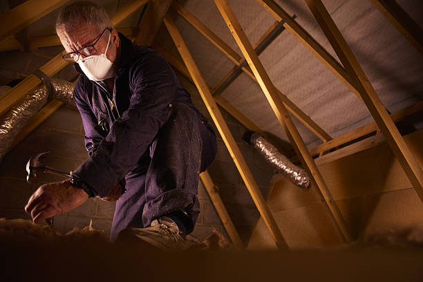 Best Insulation for Specific Applications in Bunkie, LA