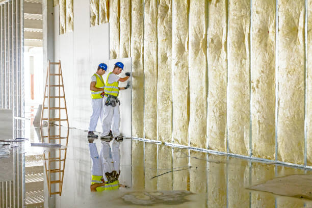Best Residential Insulation in Bunkie, LA